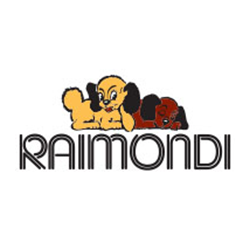 Raimondi Tile Levelling Clips